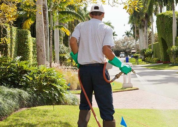 About Lawrence NY Pest Control